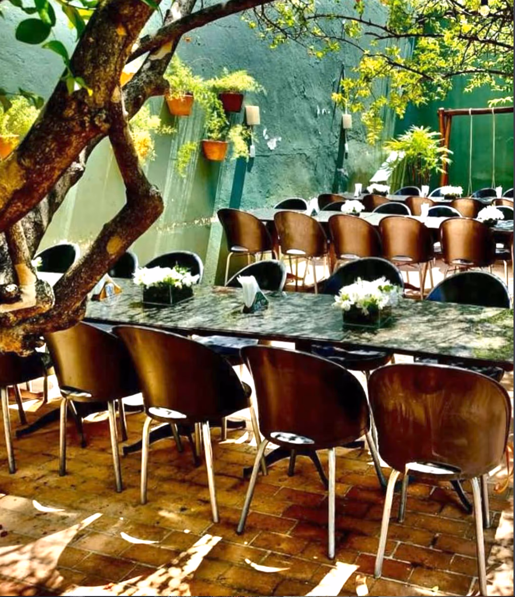 Monjardim Lourdes